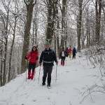 ανάβαση στο παγγαίο