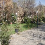 8Πρόσφυγες – κάμπινγκ Αλέξανδρος