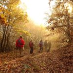 %ce%bc%ce%bf%ce%bd%ce%bf%cf%80%ce%ac%cf%84%ce%b9-%ce%bc%cf%80%ce%ad%ce%bb%ce%b5%cf%82