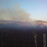 φωτιά αμπέλι