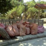 καθαρισμός παναγούδα