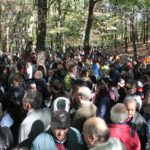 ημέρα κάστανου2