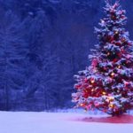 christmas-tree