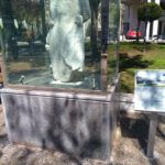 Στρατιώτης Βαλκανικών λουλούδια