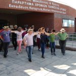 χορός αμεα