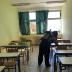 Απεντόμωση στα σχολεία 2