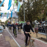 ΠΑΡΑΛΛΗΛΗ ΔΡΑΣΗ brevet philippi