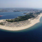 αμμόγλωσσα κεραμωτή