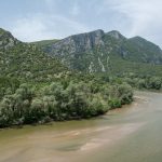 παραποτάμιο δάσος