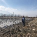 τοψίδης χωράφι