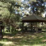 περιαστικό δάσος καβάλα