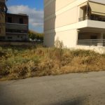 οικόπεδο χόρτα