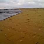 06-12-10_0759
