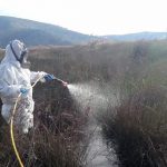 ΠΕΡΙΦΕΡΕΙΑ ΑΤΤΙΚΗΣ ΨΕΚΑΣΜΟΙ