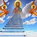 ΦΩΤΟ (23)
