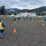 ακαδημία παε αοκ