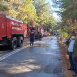 pyrosvestes thassos