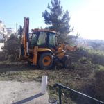 καθαρισμός βλάστησης