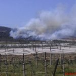 206855_1950713377309_2254627_n