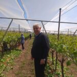 IMG_20200509_144946_BURST2_600x800