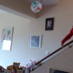 102555235_359450581694610_1786444556483538880_n