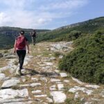 104202200_350480889256031_5466655122100634212_n