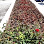 φωτο ημέρας