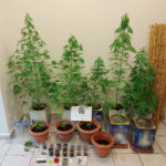 1 – 2020-07-23T111645.592