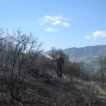 207729_1950722937548_1314038_n