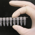 PCR_tubes