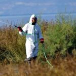 κουνούπια ψεκασμός