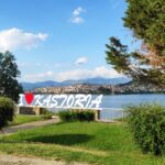 IMG_20200715_183844_1