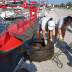 IMG_20200807_172037 (1)