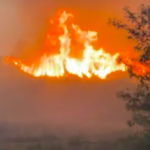 πυρκαγιά δάσος