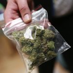 Medical marijuana shown at Oaksterdam University in Oakland
