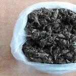 1 – 2021-02-11T112953.819