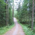 δασικός-δρόμος