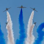 τα γεράκια της αραβίας