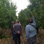 IMG-ad70313d2ead0b9b92936212aa91d441-V