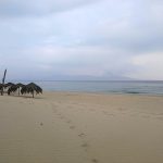 Αμμόλοφοι (φωτό αρχείου)