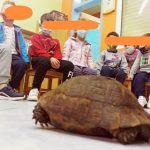 244746645_448431183375307_6242368950478195322_n