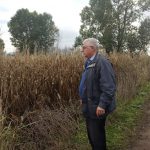 245559657_419446696366481_1036185706272345961_n