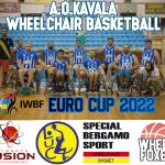 aok euro cup