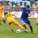 σταμένκοβιτς