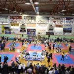 tkd 2