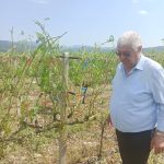 290202801_495049502423962_8335918411359713424_n