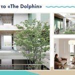 Δελτίο-Τύπου-6