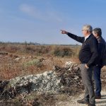 καταφύγιο αδέσποτων