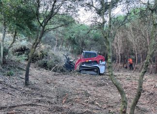 Οι εργασίες στο περιαστικό δάσος Καβάλας θα συνεχιστούν έως το καλοκαίρι