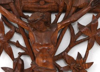 ΤΟ ΜΗΝΥΜΑ ΤΗΣ ΚΥΡΙΑΚΗΣ: Το δέντρο που σώζει